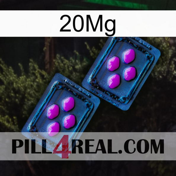 20Mg 03.jpg